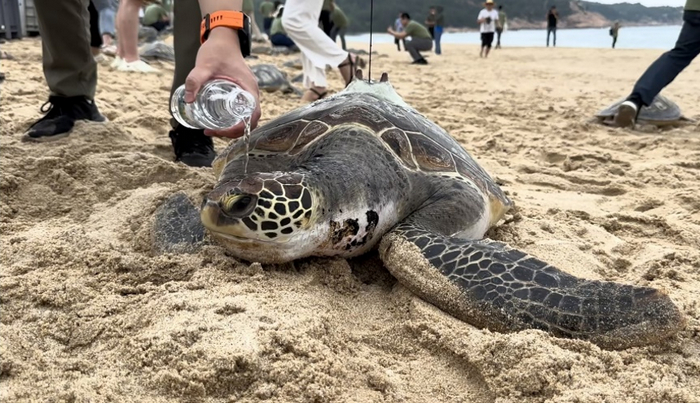 海洋旗舰物种保护 扬帆起航