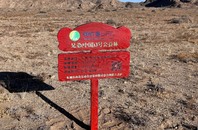 兄弟(中国)3号公益林