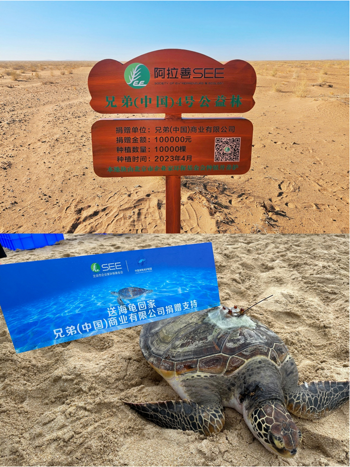 兄弟(中国)连续十一年积极参与荒漠化治理