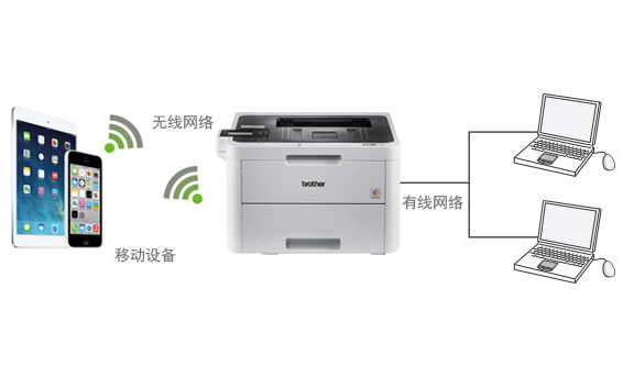 标配有线/无线网络